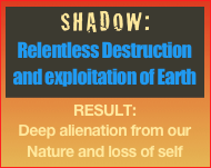 SHADOW:
Relentless Destruction and exploitation of Earth
RESULT:
Deep alienation from our Nature and loss of self